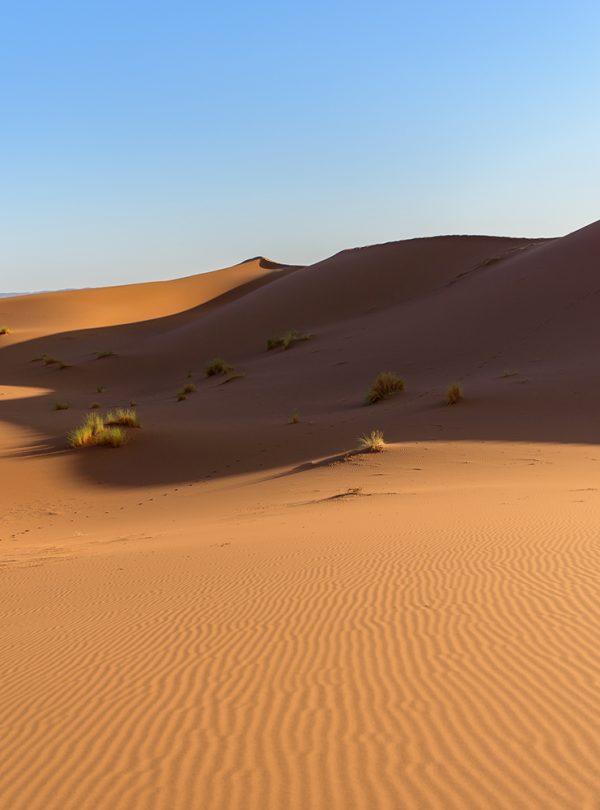 Sahara Desert