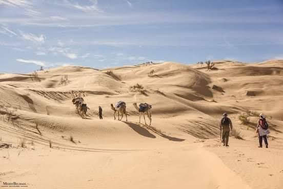 559E31B9-2AEE-409E-A473-5E482A5B1CD9